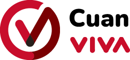 Logo VIVA.co.id